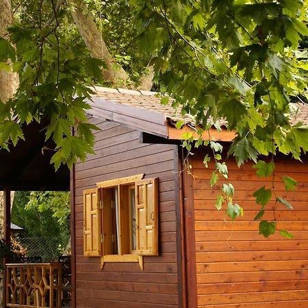 Maji Village Çıralı المظهر الخارجي الصورة