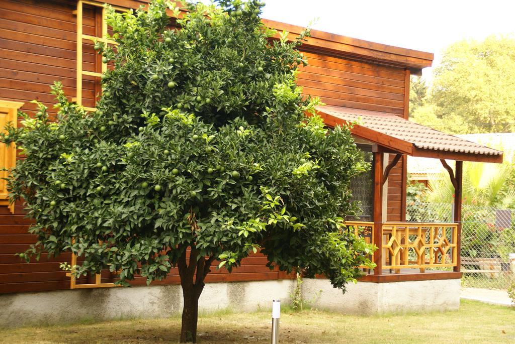 Maji Village Çıralı المظهر الخارجي الصورة
