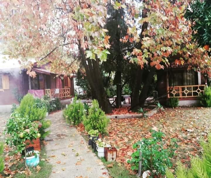 Maji Village Çıralı المظهر الخارجي الصورة