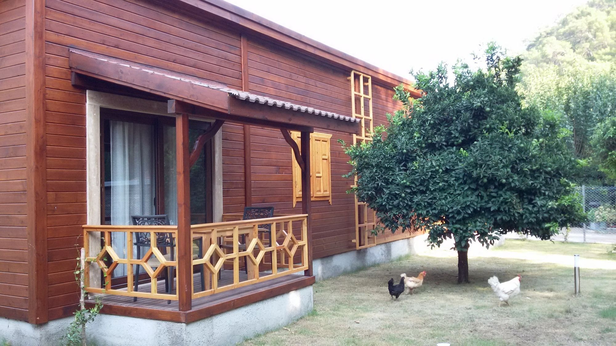 Maji Village Çıralı المظهر الخارجي الصورة